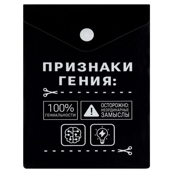 Папка для документов А6 пластиковая ФЕНИКС+ на кнопке