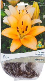 Лилии ЛА-гибриды «Менорка», размер луковицы 14/16, 1 шт.
