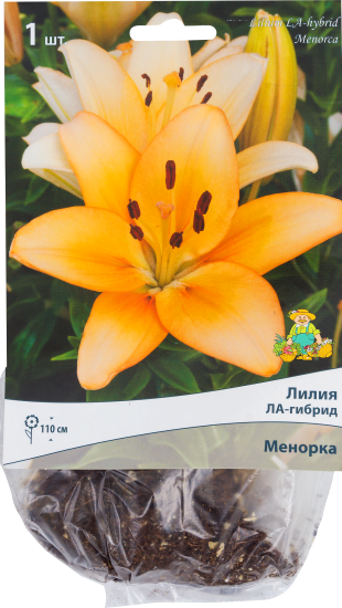 Лилии ЛА-гибриды «Менорка», размер луковицы 14/16, 1 шт.