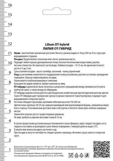 Лилии ОТ-Гибриды Олимпик Флейм