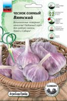 Чеснок озимый Вятский