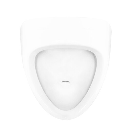 Писсуар Sanita Luxe Long, 315х350х585 мм