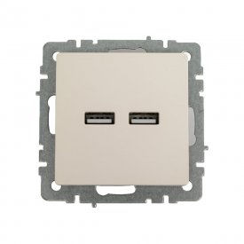 Розетка usb IEK Brite