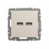 Розетка usb IEK Brite