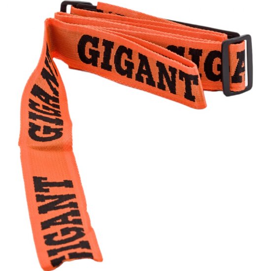 Инверторный сварочный аппарат Gigant GWM-160