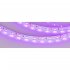 Светодиодная лента Arlight RT-A60-8mm 12V Pink