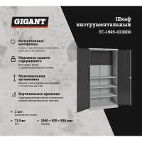 Инструментальный шкаф Gigant TC-1995-023000