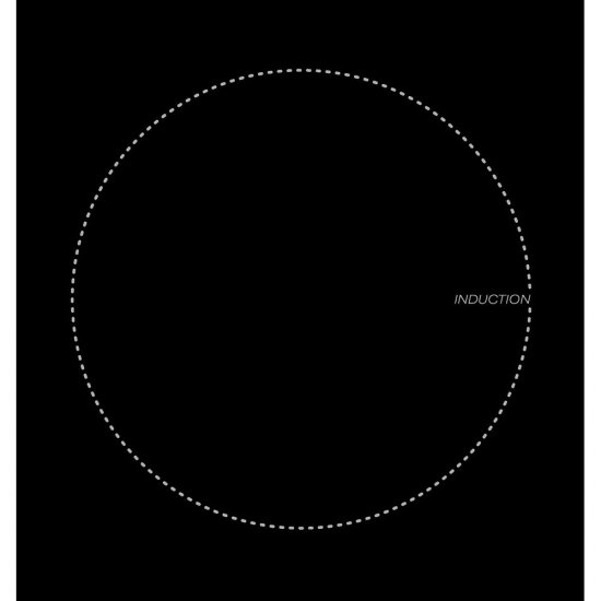 Варочная панель индукционная Lex EVI 320 2 конфорки черная