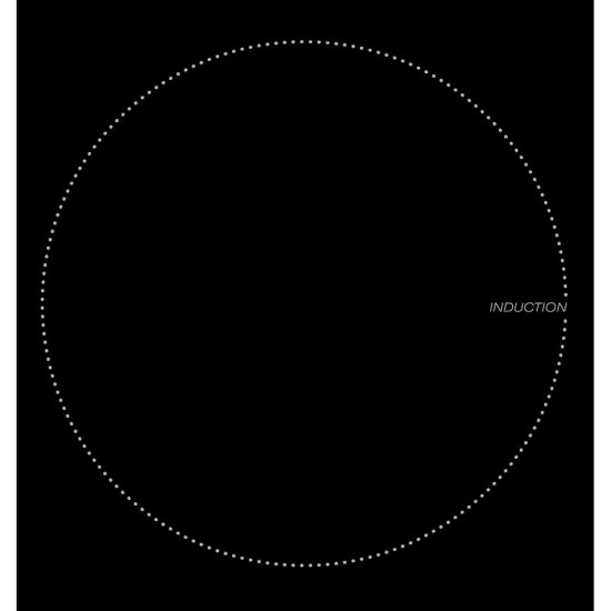 Варочная панель индукционная Lex EVI 320 2 конфорки черная