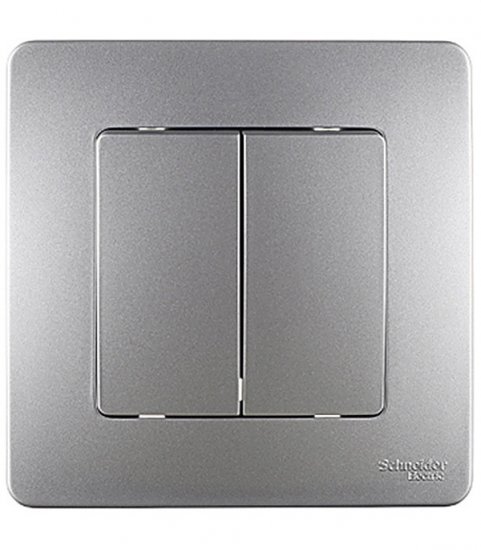 Выключатель Systeme Electric Blanca двухклавишный встраиваемый алюминий (BLNVS010503)