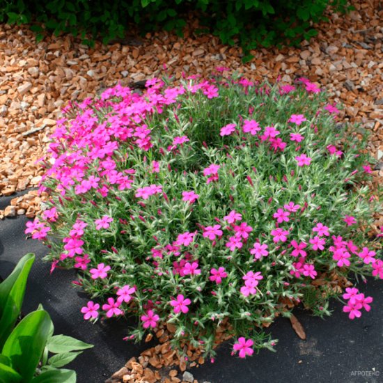 Укрывной материал Агротекс Гео 90 г/кв.м УФ стабилизатор 0,8х12 м черный