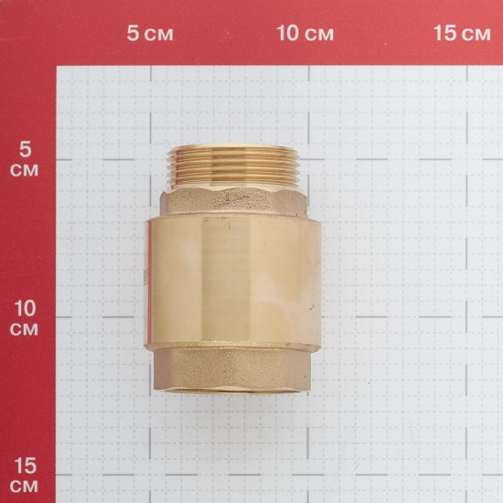 Клапан обратный Belamos 1 1/4 НР(ш) х 1 1/4 ВР(г) (FVD1.25)