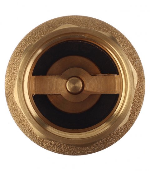 Клапан обратный 1 ВР(г) х 1 ВР(г) (FVC1)