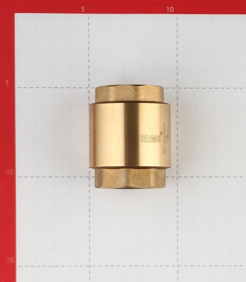 Клапан обратный 1 ВР(г) х 1 ВР(г) (FVC1)