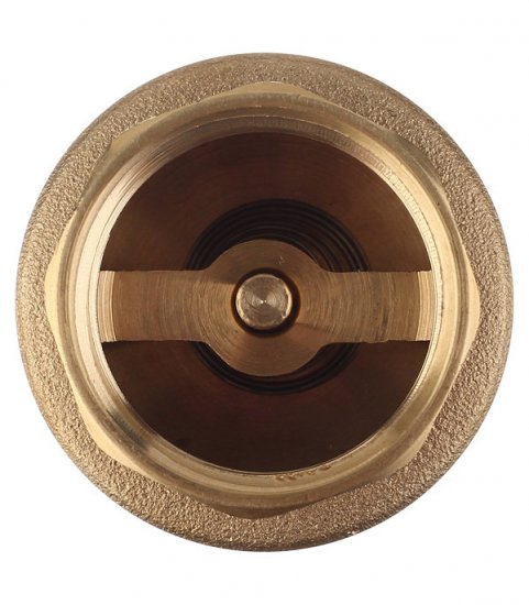 Клапан обратный 1 НР(ш) х 1 ВР(г) (FVD1)