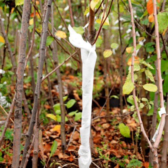 Бинт садовый Агротекс Сад 0.12х10 м