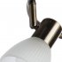 Спот потолочный Arte Lamp Parry E14 120 Вт 6 кв.м бронза IP20 (A5062PL-3AB)