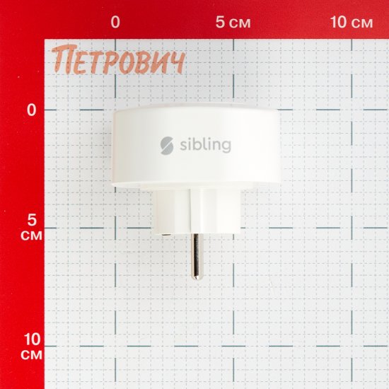 Умная розетка Sibling Smart Home (00-00003076) белая с заземлением