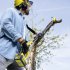 Высоторез аккумуляторный для деревьев Karcher PSW 18-20 18В Li-Ion с телескопической рукояткой без АКБ и ЗУ (1.444-010.0)