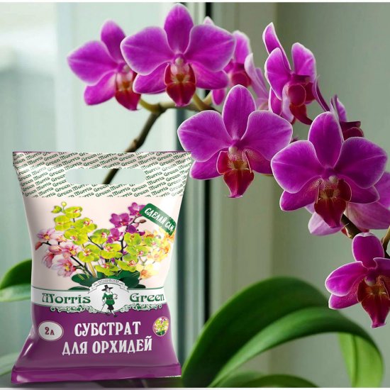 Субстрат Morris Green для орхидей 2 л
