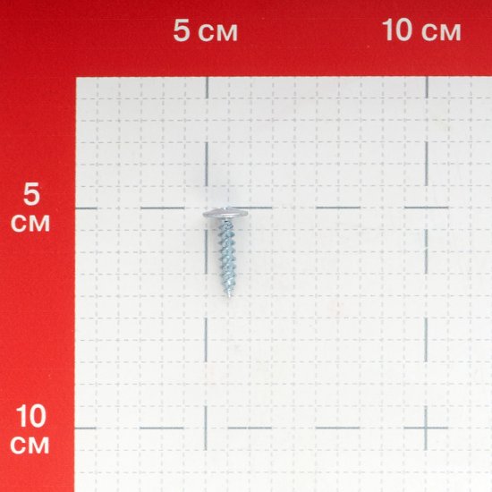 Саморезы клопы 19x4,2 мм (200 шт.)