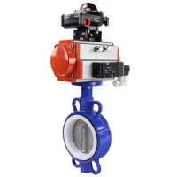 Затвор DN.ru wcb-316l-ptfe