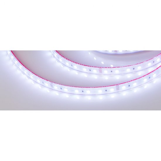 Герметичная светодиодная лента Arlight RTW-PS-B60-12mm