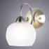 Бра Arte Lamp Margo E27 60 Вт 220 В античная бронза IP20 (A9317AP-1AB)