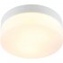Потолочный светильник ARTE LAMP A6047PL-1WH