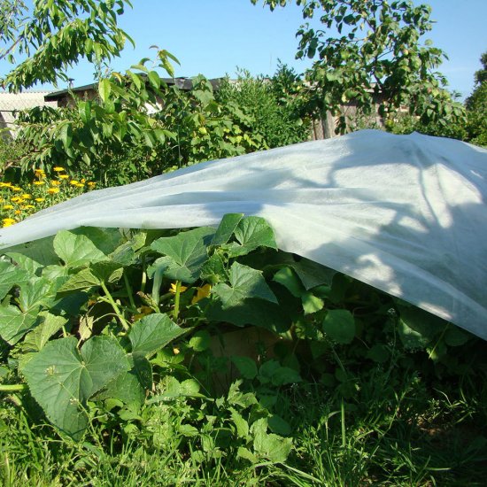 Укрывной материал универсальный Удача 36 г/кв.м УФ стабилизатор 1,6х10 м белый