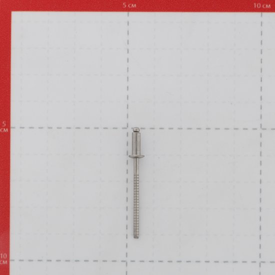 Заклепка вытяжная 3,2x8 мм нержавеющая сталь/нержавеющая сталь (100 шт.)