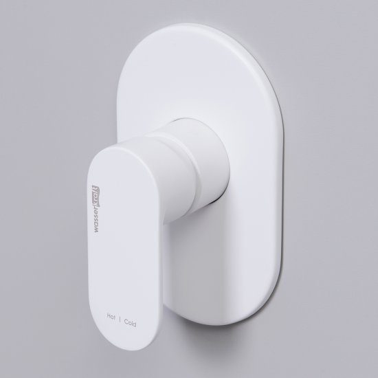 Смеситель для душа встраиваемый WasserKraft Mindel однорычажный белый (8551)