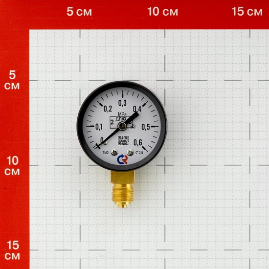 Манометр Росма ТМ-210Р.00 G1/4.2,5 радиальный 1/4 НР(ш) 6 бар d50 мм (6695)