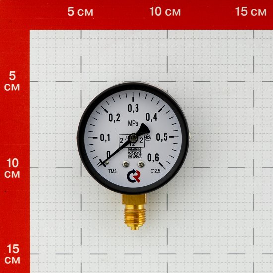 Манометр Росма ТМ-310Р.00 G1/4.2,5 радиальный 1/4 НР(ш) 6 бар d63 мм (6771)