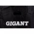 Телескопическая лестница Gigant LT-01 1x13