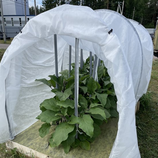 Укрывной материал для парников Агротекс Сад 60 г/кв.м УФ стабилизатор антиконденсатный 3х50 м белый