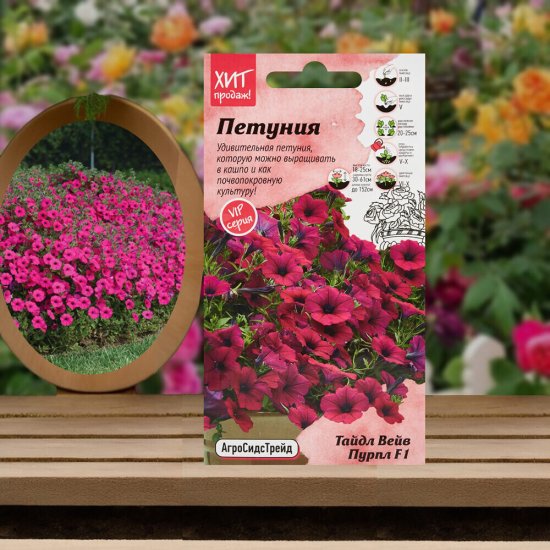 Петуния Тайдл Вейв Пурпл F1 Агросидстрейд 3 г
