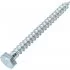 Шурупы Gigant 6.0x60, 1 кг