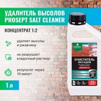 Смывка высолов PROSEPT SALT CLEANER
