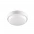 Светодиодный светильник Wolta LCL04-12W-R11-4K-SOA