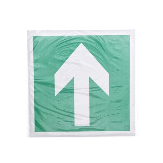 Наклейка Rexant эвакуационный знак Направляющая стрелка самоклеящаяся 200х200 мм (5 шт.)