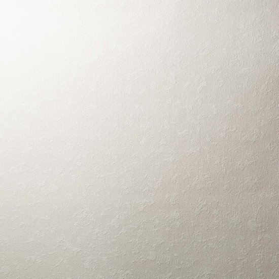 Обои вспененный винил на флизелиновой основе Elysium Оди Е57500 (1,06х10,05 м)