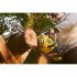 Бесщеточная цепная пила Ryobi RY36CSX35A-160