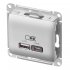Розетка USB Systeme Electric Glossa встраиваемая алюминий USB-A/ Type-C (GSL000339)
