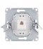 Розетка компьютерная Systeme Electric Glossa встраиваемая алюминий RJ45 (GSL000381К)