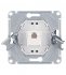 Розетка компьютерная Systeme Electric Glossa встраиваемая антрацит RJ45 (GSL000781К)