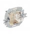 Розетка компьютерная Simon 15 встраиваемая слоновая кость RJ45 (1591598-031)