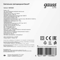 Светильник Gauss ЖКХ LITE