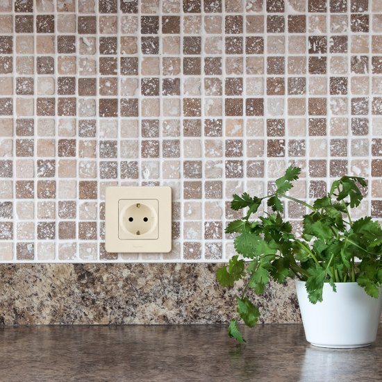 Розетка Legrand Inspiria встраиваемая слоновая кость (673721)