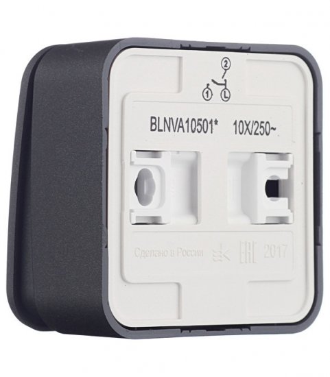 Выключатель Systeme Electric Blanca двухклавишный накладной антрацит (BLNVA105016)